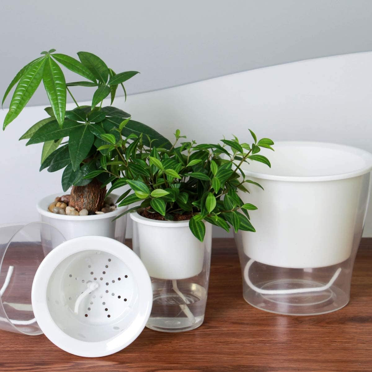 3 Packs 7" Large Self-Watering Planters for Indoor/Outdoor Plants