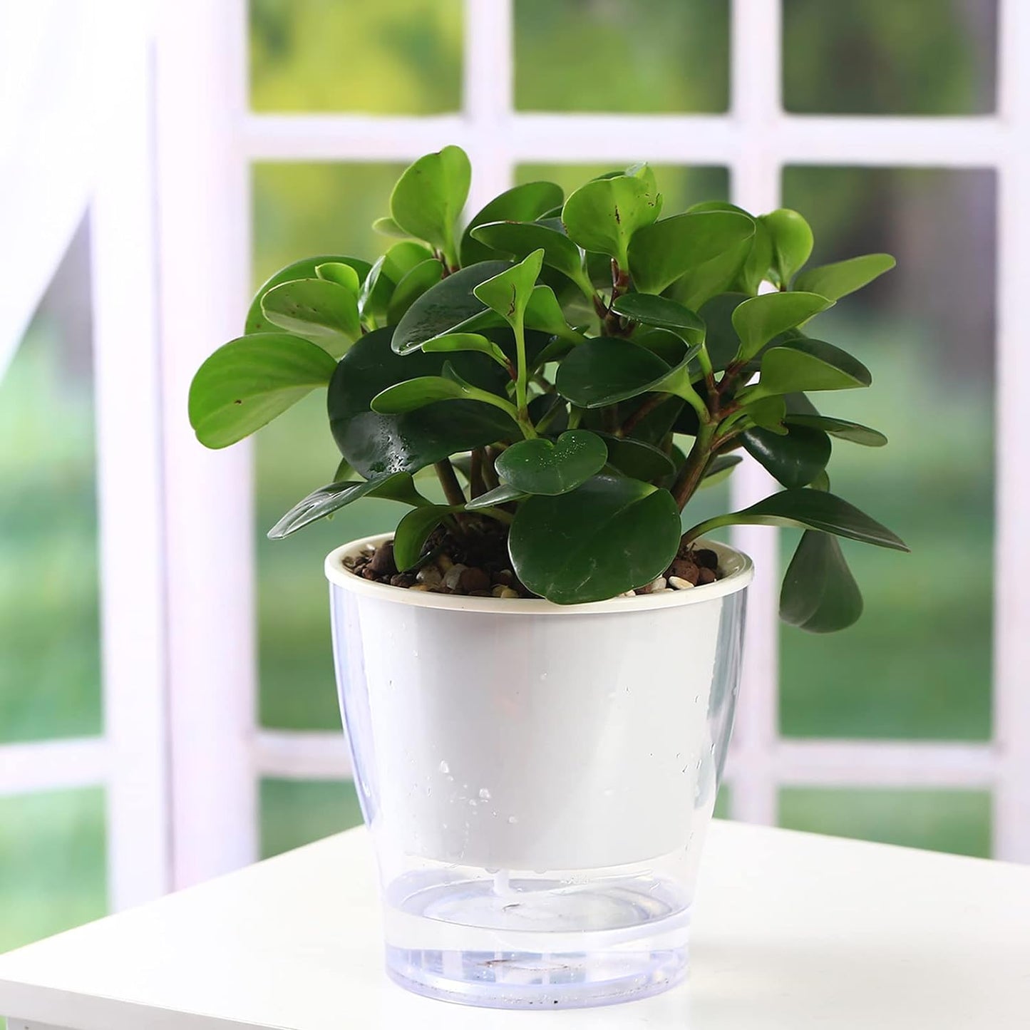 3 Packs 7" Large Self-Watering Planters for Indoor/Outdoor Plants