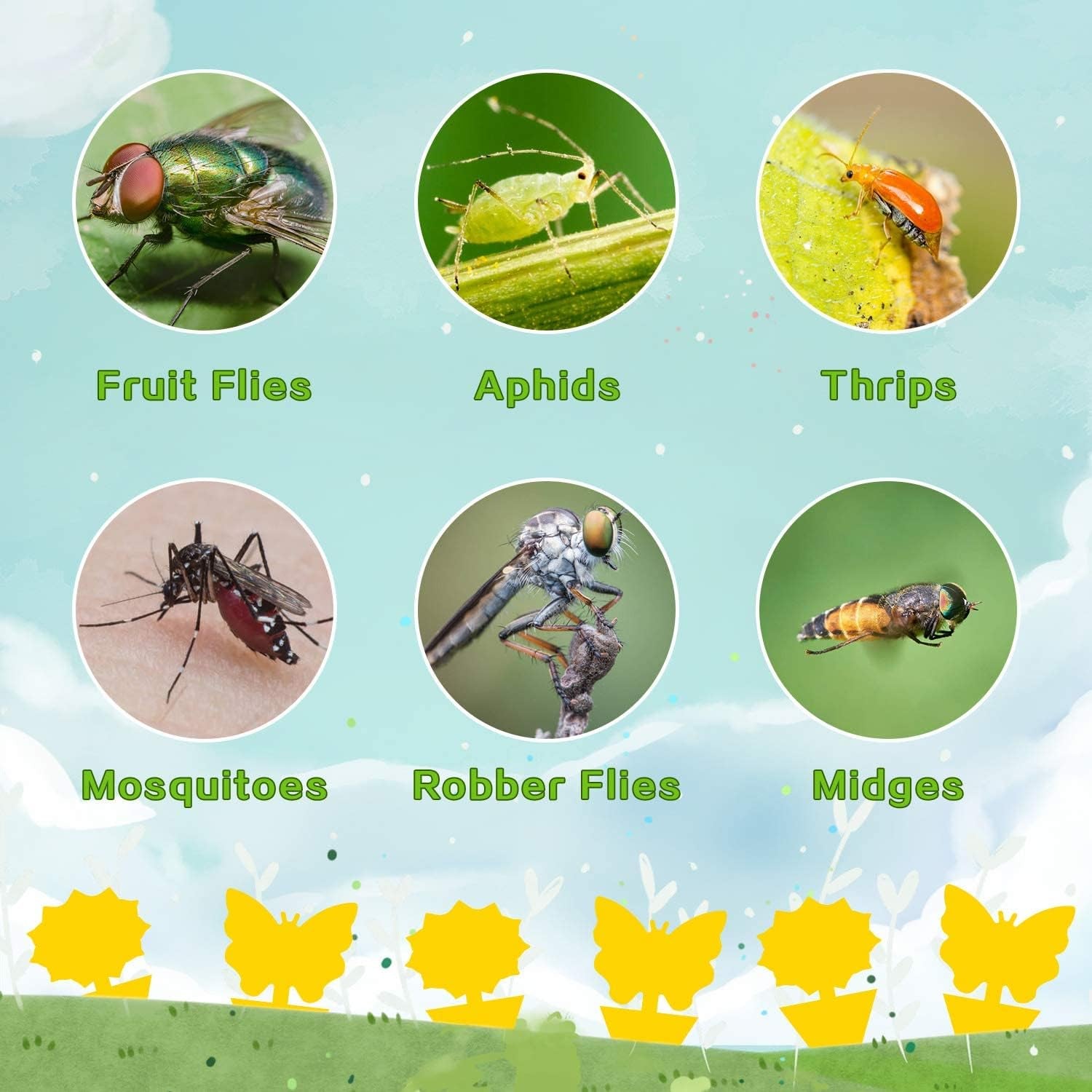 Sicky Bug Traps (For Flys, Gnats, Etc.) 36 Pack No Harm and Odorless for Indoor Outdoor Use