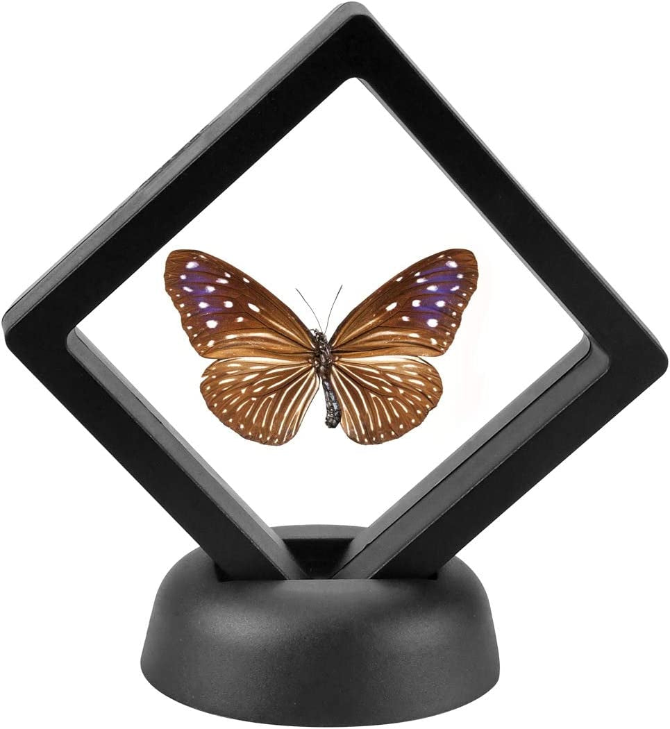 5 Pack 3D Floating Coin Display Case with Stands, 2.75X2.75 Inch Suspension Frame for Military Medals, Jewelry, Medallions Specimens Premium Shadow Box Collection