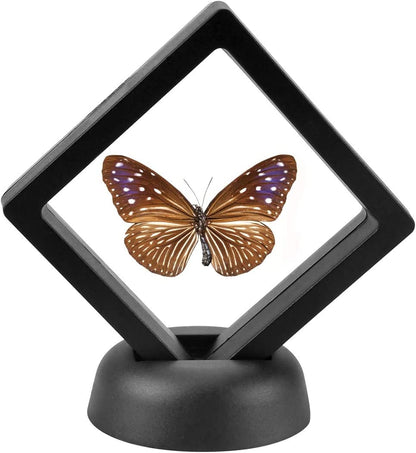 5 Pack 3D Floating Coin Display Case with Stands, 2.75X2.75 Inch Suspension Frame for Military Medals, Jewelry, Medallions Specimens Premium Shadow Box Collection