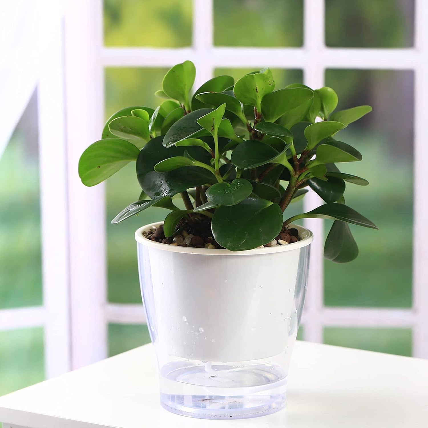 3 Packs 7" Large Self-Watering Planters for Indoor/Outdoor Plants