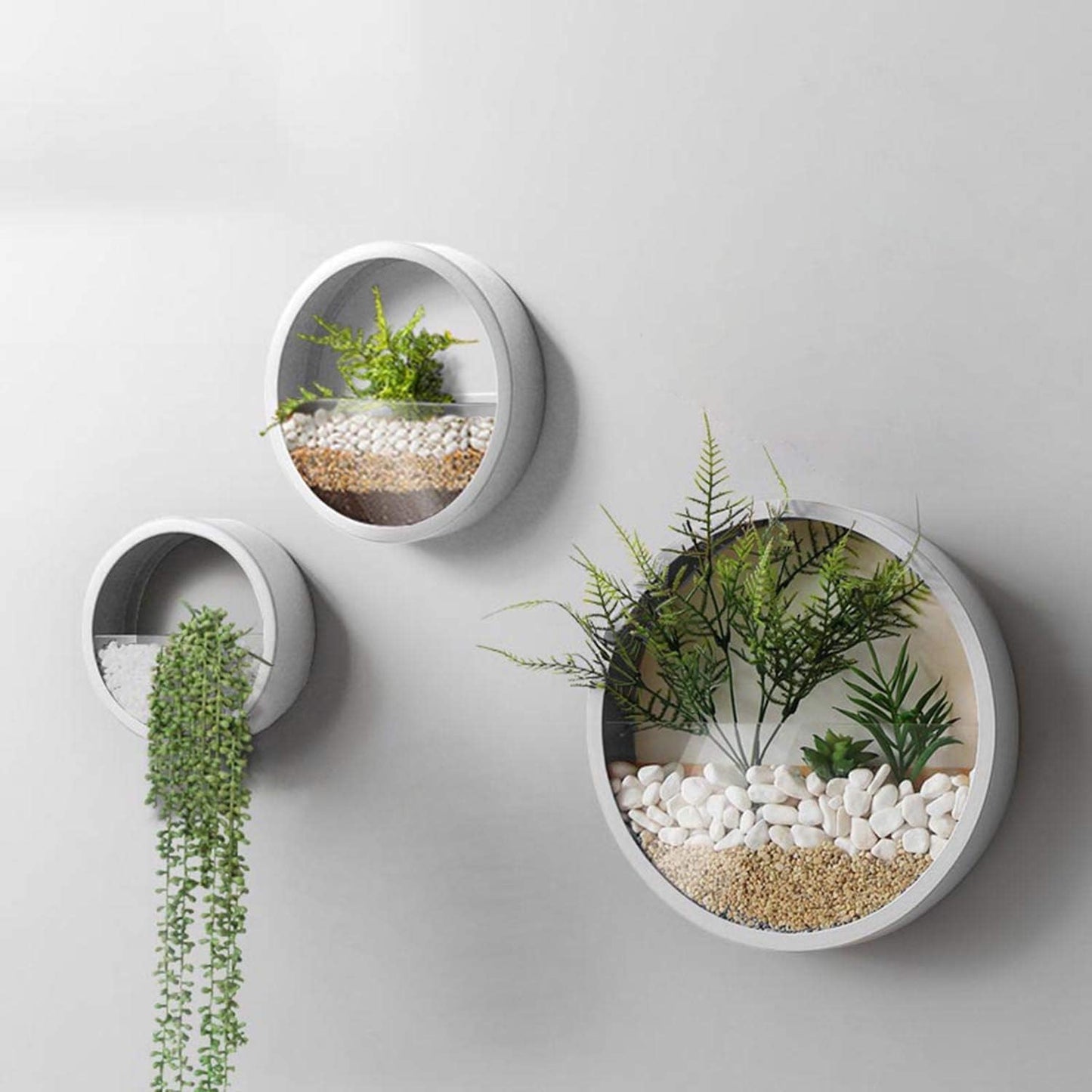 3 Pack Set Modern, Round, Glass Wall Planter (Black)