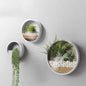 3 Pack Set Modern, Round, Glass Wall Planter (Black)