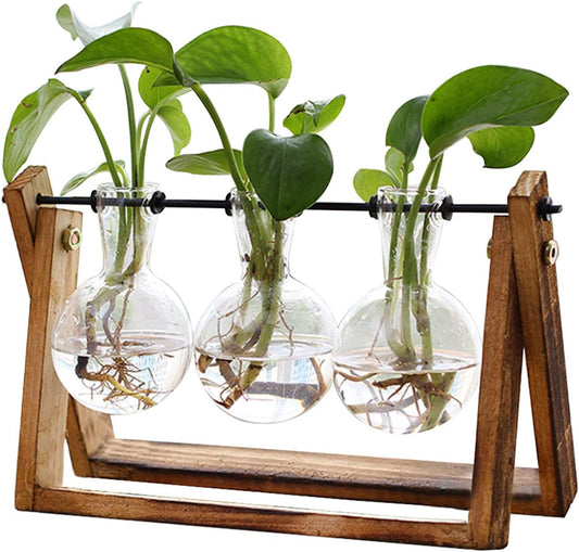 Plant Terrarium with Wooden Stand, Air Planter Bulb Glass Vase Metal Swivel Holder Retro Tabletop for Hydroponics - 3 Bulb Vase