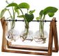 Plant Terrarium with Wooden Stand, Air Planter Bulb Glass Vase Metal Swivel Holder Retro Tabletop for Hydroponics - 3 Bulb Vase