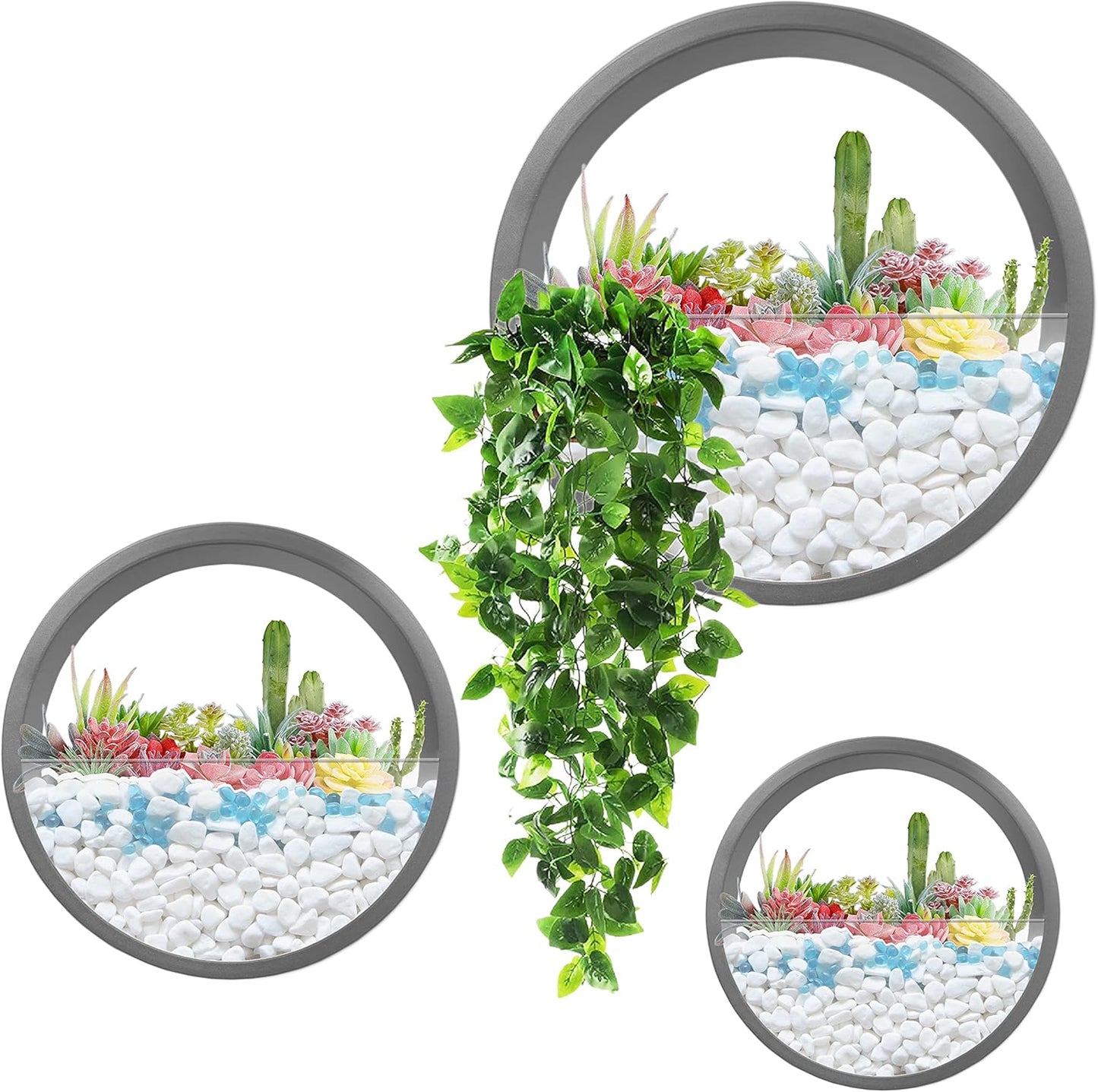3 Pack Set Modern, Round, Glass Wall Planter (Black)