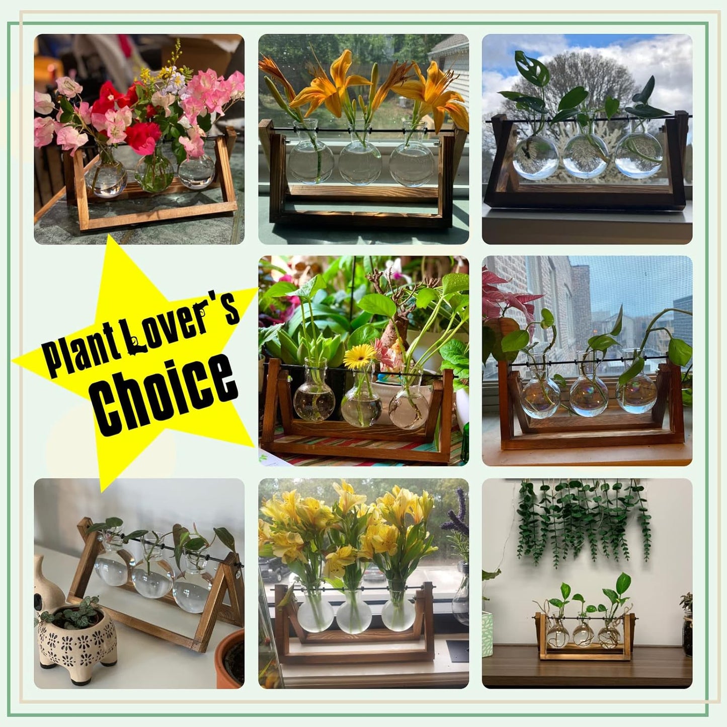 Plant Terrarium with Wooden Stand, Air Planter Bulb Glass Vase Metal Swivel Holder Retro Tabletop for Hydroponics - 3 Bulb Vase