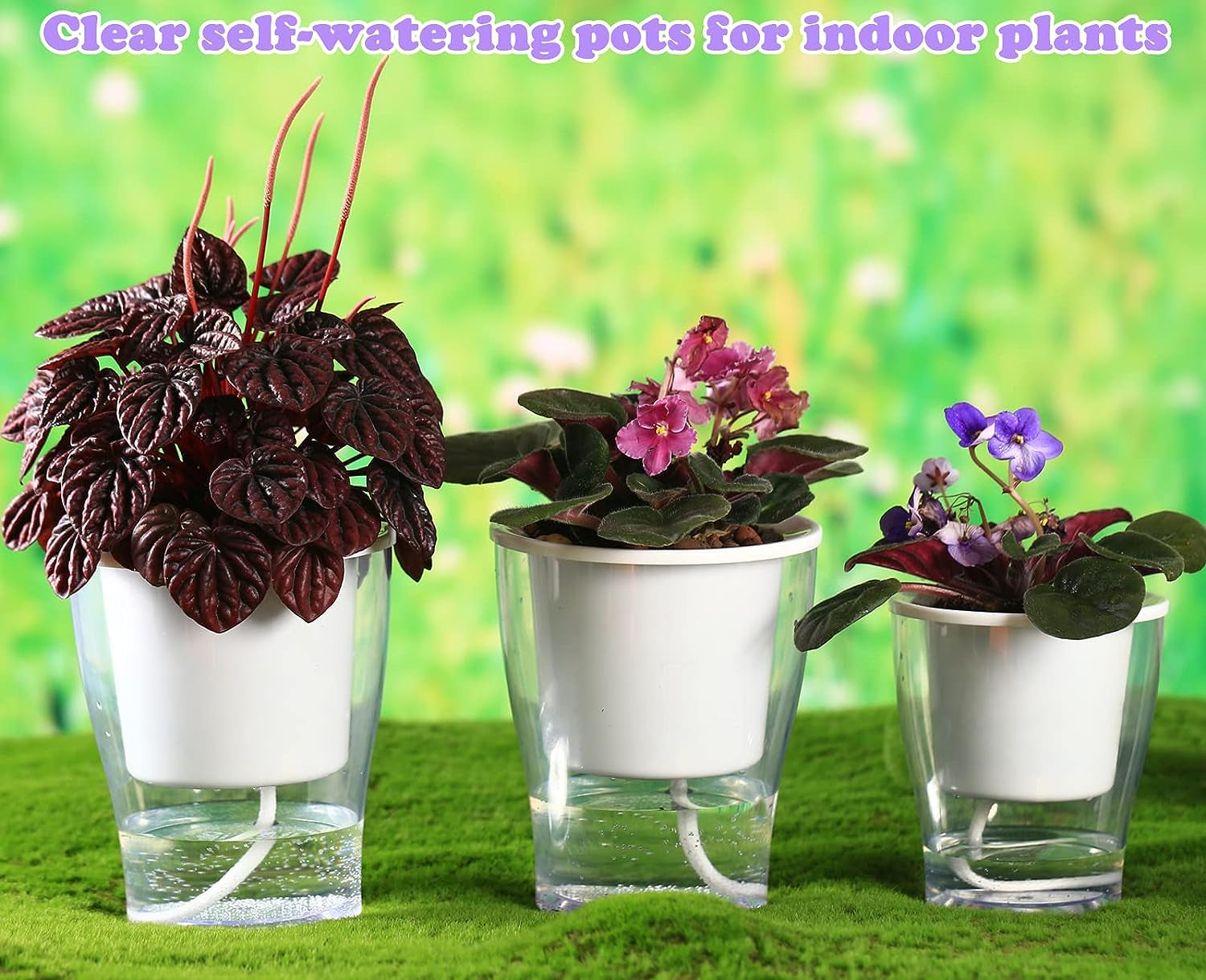 3 Packs 7" Large Self-Watering Planters for Indoor/Outdoor Plants