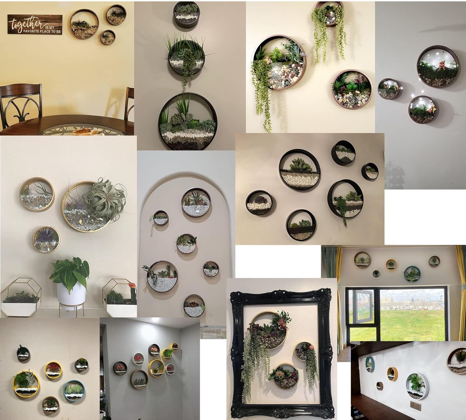 3 Pack Set Modern, Round, Glass Wall Planter (Black)